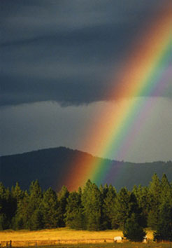 Graphic for A Rainbow in the Night - Compliments of NightVisions Photos & Images