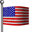 Animated Flag for We Want America Back!