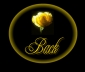 BACK Button for Jesus Rose of Sharon