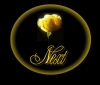 NEXT Button for Jesus Rose of Sharon